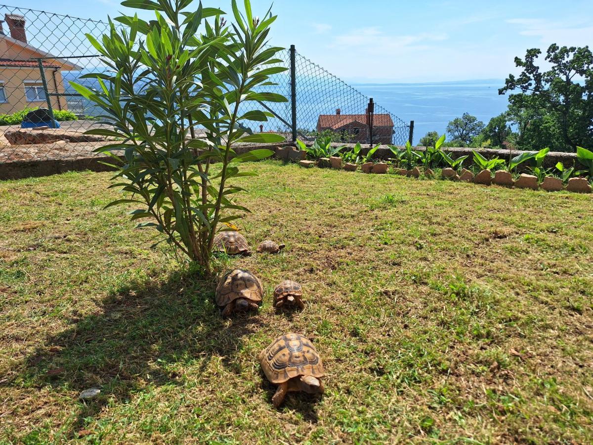 Apartmani Marini Opatija Exterior photo